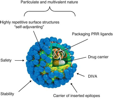 vlp|Virus